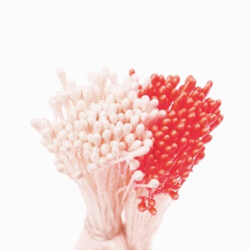 Confezione 288 pistilli bianco perla rosso Decora