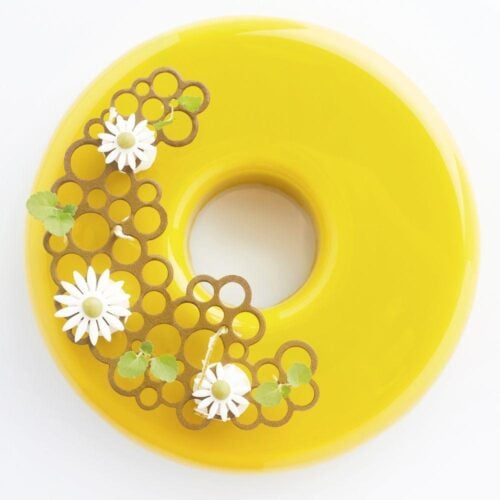 Stampo in Silicone Mezzaluna Cerchi Pavodecor PR004 CIRCLES1