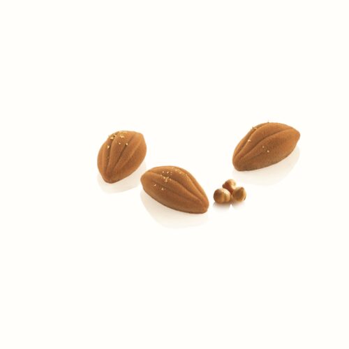 Stampo in Silicone Cacao XS 12 Silikomart